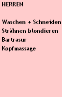 HERREN

 Waschen + Schneiden
 Strähnen blondieren
 Bartrasur
 Kopfmassage