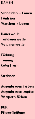 DAMEN

 Schneiden + Fönen
 Fönfrisur                     
 Waschen + Legen

 Dauerwelle
 Teildauerwelle
 Volumenwelle

 Färbung
 Tönung
 ColorFresh

 Strähnen

 Augenbrauen färben
 Augenbrauen zupfen
 Wimpern färben

 KUR
 Pflege-Spülung